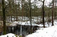 Neos op wandel door een winters Kelchterhoef