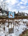 Dieren vragen te stoppen met sluikstorten