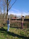 Ook gevederde werkkrachten welkom in dorpstuintjes