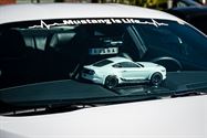 Een pak volk en auto's op eerste dag Mustang Fever