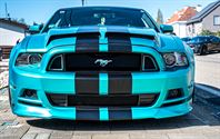 Een pak volk en auto's op eerste dag Mustang Fever
