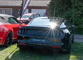 Een pak volk en auto's op eerste dag Mustang Fever