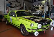 Een pak volk en auto's op eerste dag Mustang Fever