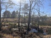 Vriendengroep bib op wandel in de Katersvallei