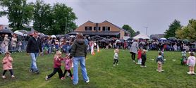 Springers were singing and dancing in the rain