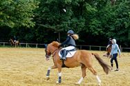Paarden en pony's springen in een mooi decor