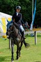 Paarden en pony's springen in een mooi decor