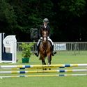 Paarden en pony's springen in een mooi decor