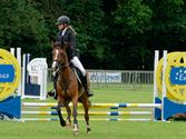 Paarden en pony's springen in een mooi decor