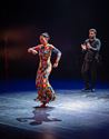 La Juana bracht een grootse flamencoshow