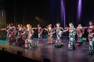 La Juana bracht een grootse flamencoshow