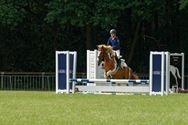 Pony's kunnen ook over de balken springen