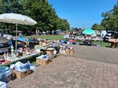 Voor elk wat wils op rommelmarkt in Eversel