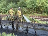 Gras- en haagbrand tot aan spoor in Gompartsstraat