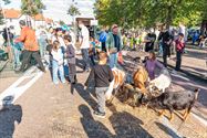 Braderie had voor elk wat wils in petto