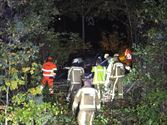 Auto verdwijnt tussen bomen en struikgewas
