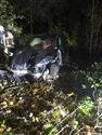 Auto verdwijnt tussen bomen en struikgewas