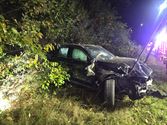 Auto verdwijnt tussen bomen en struikgewas
