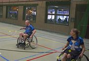 Beperkt aantal rolstoelbadmintonners in Berkenbos