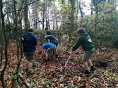 Scouts Eversel staken Natuurpunt een handje toe