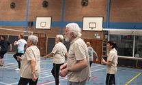 Limburgse senioren bekampen elkaar in netbal