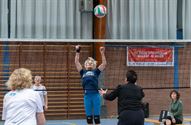 Limburgse senioren bekampen elkaar in netbal