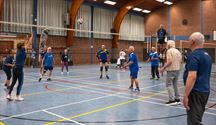 Limburgse senioren bekampen elkaar in netbal