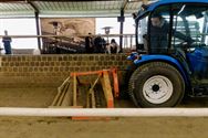 Paarden en pony's springen vlot zonder ruiter