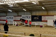 Paarden en pony's springen vlot zonder ruiter