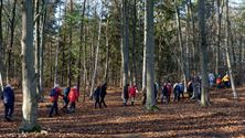 Veel deelnemers aan Winterborrelwandeling