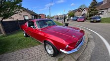 Mustang Fever kwam vandaag al vroeg op gang