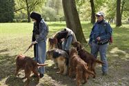 Baasjes en honden wandelden naar De Kluis