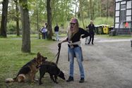Baasjes en honden wandelden naar De Kluis
