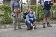 Baasjes en honden wandelden naar De Kluis
