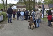 Baasjes en honden wandelden naar De Kluis