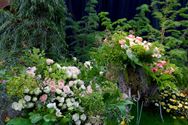 Neos bezocht het SMAK en de Gentse Floraliën