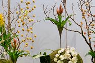 Neos bezocht het SMAK en de Gentse Floraliën