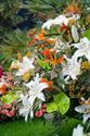 Neos bezocht het SMAK en de Gentse Floraliën