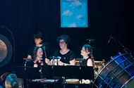 Ware Vrienden gaven een feestelijk lenteconcert