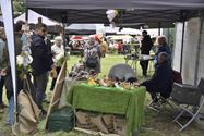 Foodtruckfestival gaat rustig van start