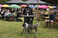 Foodtruckfestival gaat rustig van start