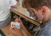 Veel volk genoot van eerste dag kunstenfestival