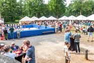 Opnieuw een pak volk voor het kunstenfestival
