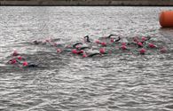 Zowat 520 moedige atleten voor triatlon