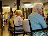 30 jaar Vulpia: taart en live-muziek bij BoCasa