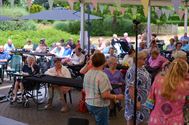 Celine Hermans topper op zomerfeest Bloemelingen