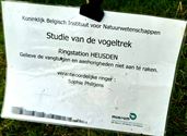 Vogels ringen voor de natuurwetenschap