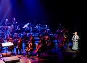 Nieuwe Muze Symphony Orchestra stelt niet teleur