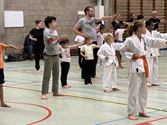 60 deelnemers aan Karate Challenge in Eversel