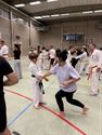 60 deelnemers aan Karate Challenge in Eversel
